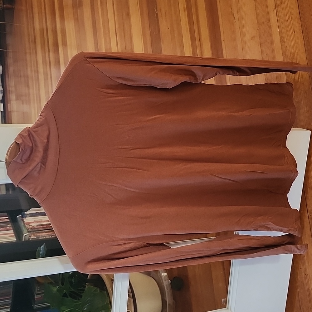 Brown Long Sleeve Turtleneck Top